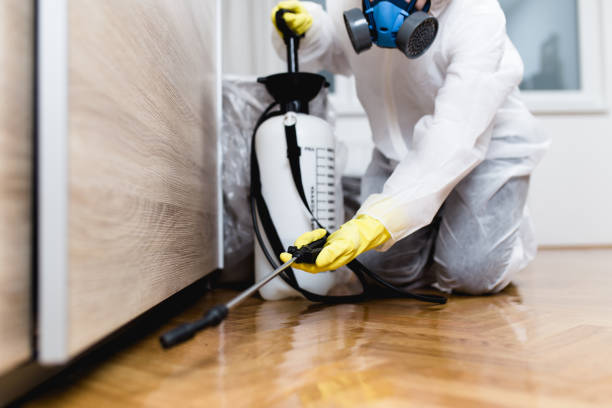 Best Pest Prevention Services  in Whitesboro, TX