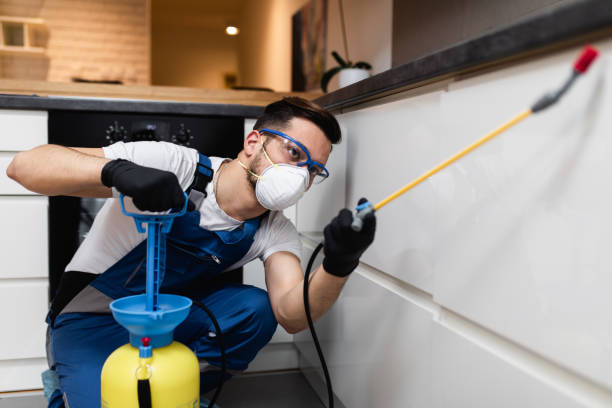 Best Flea Control Services  in Whitesboro, TX