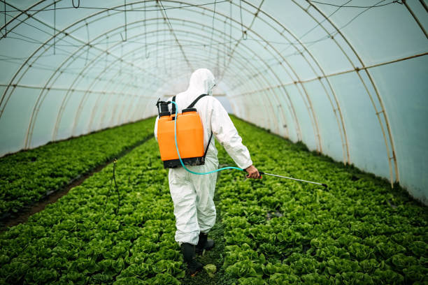 Pest Prevention Services in Whitesboro, TX