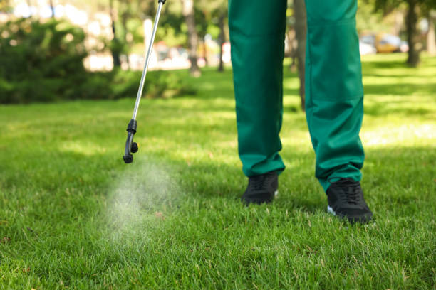 Best Best Pest Control Companies  in Whitesboro, TX