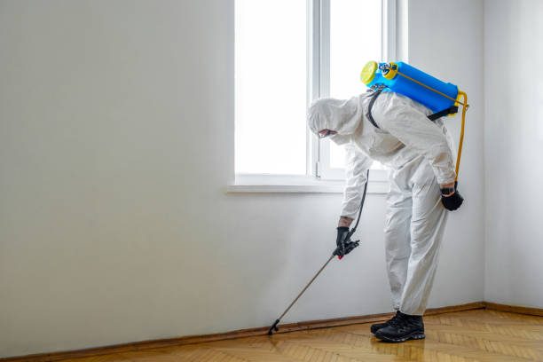 Best Exterminator Services  in Whitesboro, TX