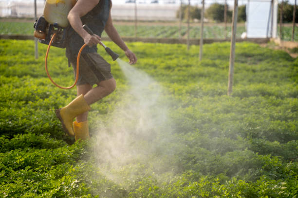 Best Wildlife Control Services  in Whitesboro, TX