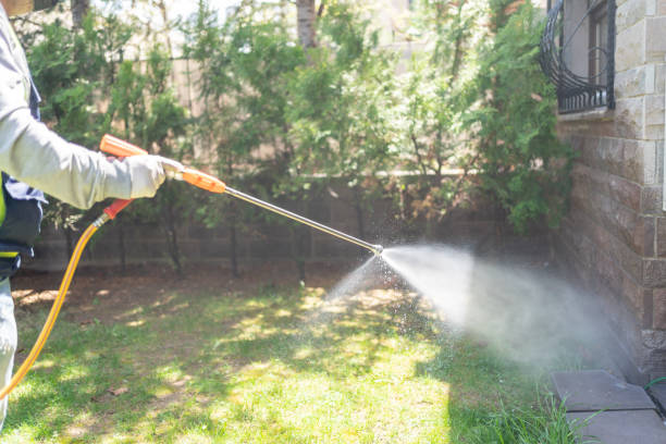Best Mosquito Control Services  in Whitesboro, TX