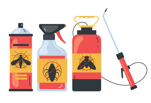 Best Spider Control Near Me  in Whitesboro, TX