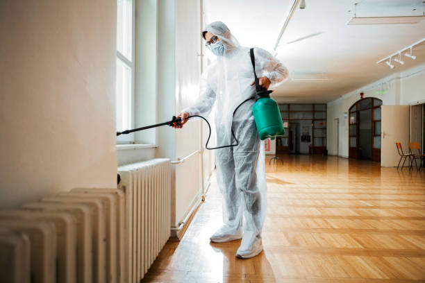Best Termite Control Services  in Whitesboro, TX