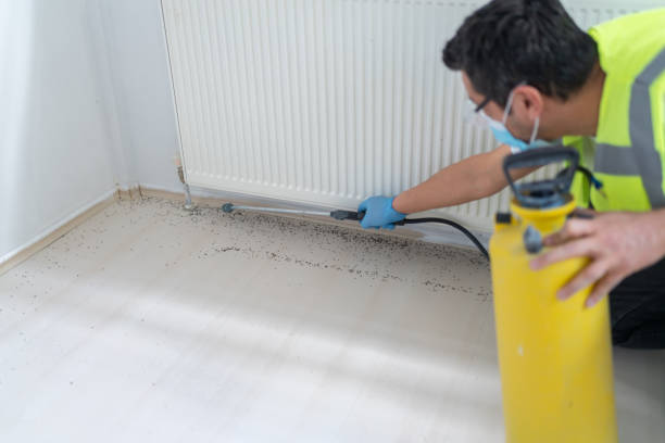 Best Pest Control Near Me  in Whitesboro, TX