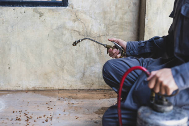 Best Emergency Pest Control  in Whitesboro, TX